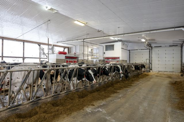 img_4674_103-6 at 1011 Bornish Drive Parkhill