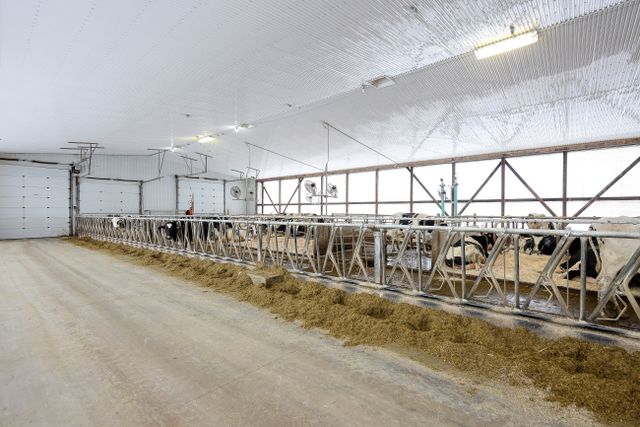 img_4682_105-7 at 1011 Bornish Drive Parkhill