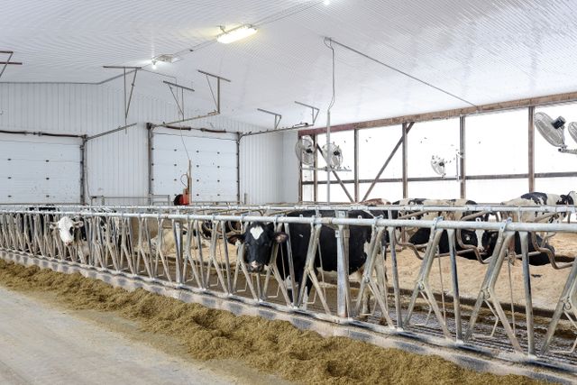 img_4694_109-9 at 1011 Bornish Drive Parkhill