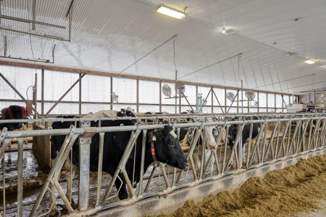 img_4709_114-12 at 1011 Bornish Drive Parkhill