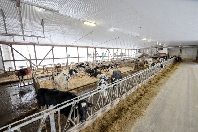 img_4716_117-13 at 1011 Bornish Drive Parkhill