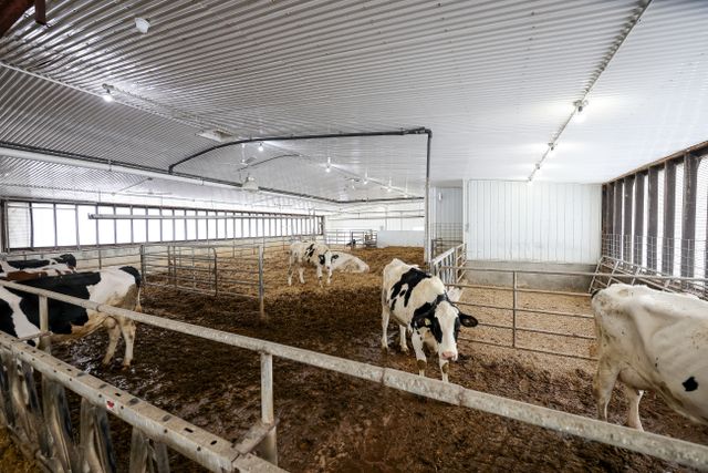 img_4775_136-20 at 1011 Bornish Drive Parkhill