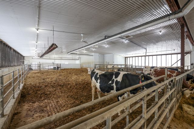 img_4784_139-21 at 1011 Bornish Drive Parkhill