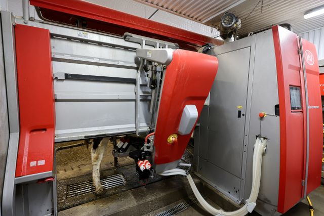 img_4844_159-29 at 1011 Bornish Drive Parkhill