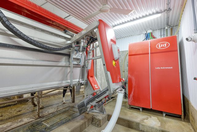 img_4870_167-36 at 1011 Bornish Drive Parkhill