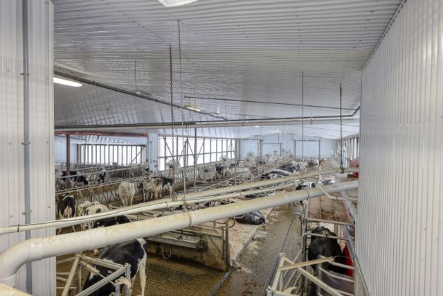 img_4877_169-38 at 1011 Bornish Drive Parkhill