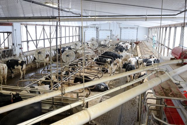 img_4898_175-40 at 1011 Bornish Drive Parkhill