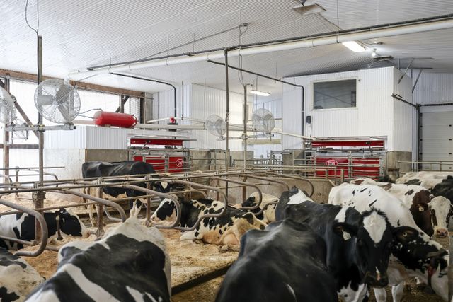 img_4997_208-56 at 1011 Bornish Drive Parkhill