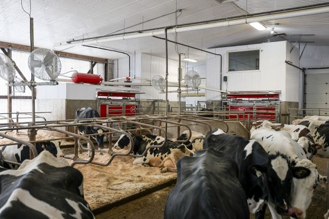 img_5007_211-57 at 1011 Bornish Drive Parkhill