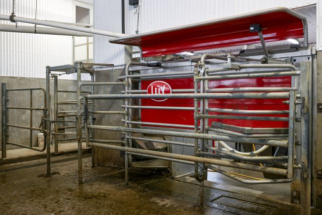 img_5018_214-59 at 1011 Bornish Drive Parkhill