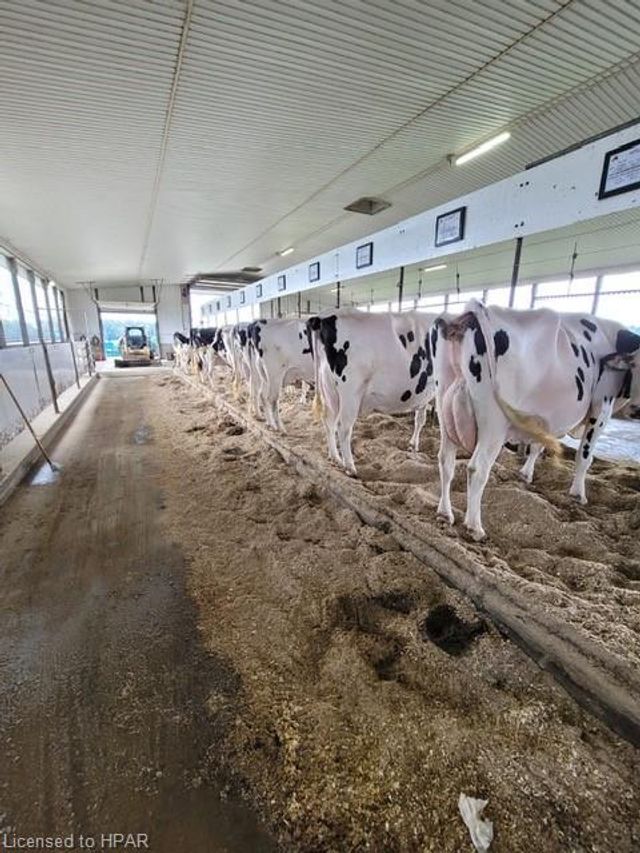 getmedia_3_ at 636389 14th Line, Woodstock getmedia_3_ at 636389 14th Line, Woodstock