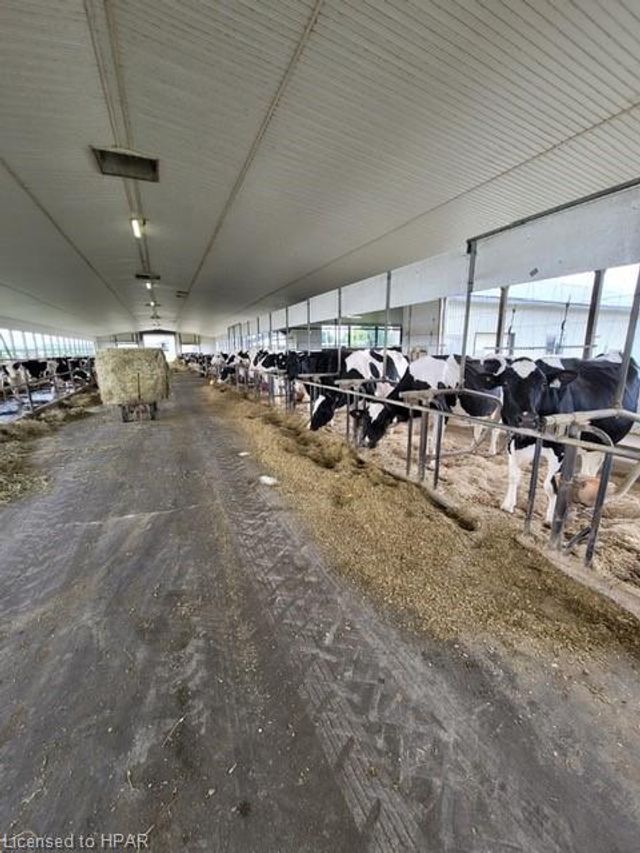 getmedia_4_ at 636389 14th Line, Woodstock getmedia_4_ at 636389 14th Line, Woodstock