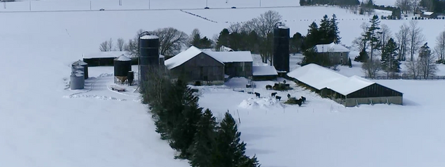 screenshot-86 at 6133 5th Line, Palmerston screenshot-86 at 6133 5th Line, Palmerston