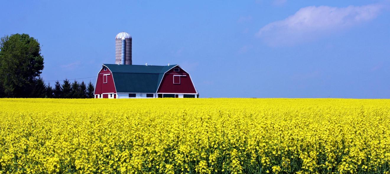 Farm2Farmer marketing real estate page