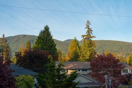 2775-crescentview-drive-edgemont-north-vancouver-26 at 2775 Crescentview Drive, Edgemont, North Vancouver 2775-crescentview-drive-edgemont-north-vancouver-26 at 2775 Crescentview Drive, Edgemont, North Vancouver