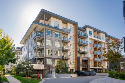 20834-80-avenue-willoughby-heights-langley-03 at B503 - 20834 80 Avenue, Willoughby Heights, Langley