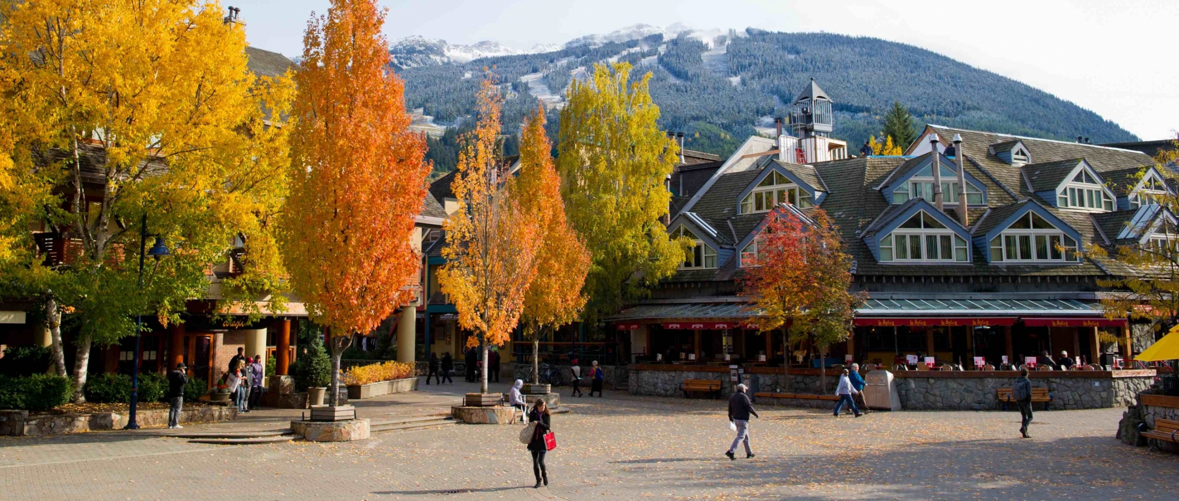 Homes in Whistler