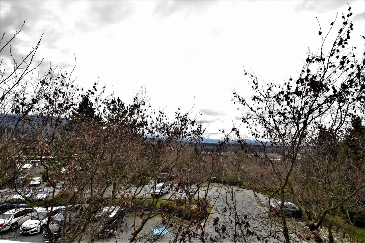 dsc_2199 at 211 - 1438 Parkway Boulevard, Westwood Plateau, Coquitlam
