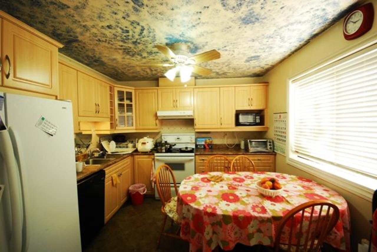 ektcn at 268B Evergreen, College Park PM, Port Moody