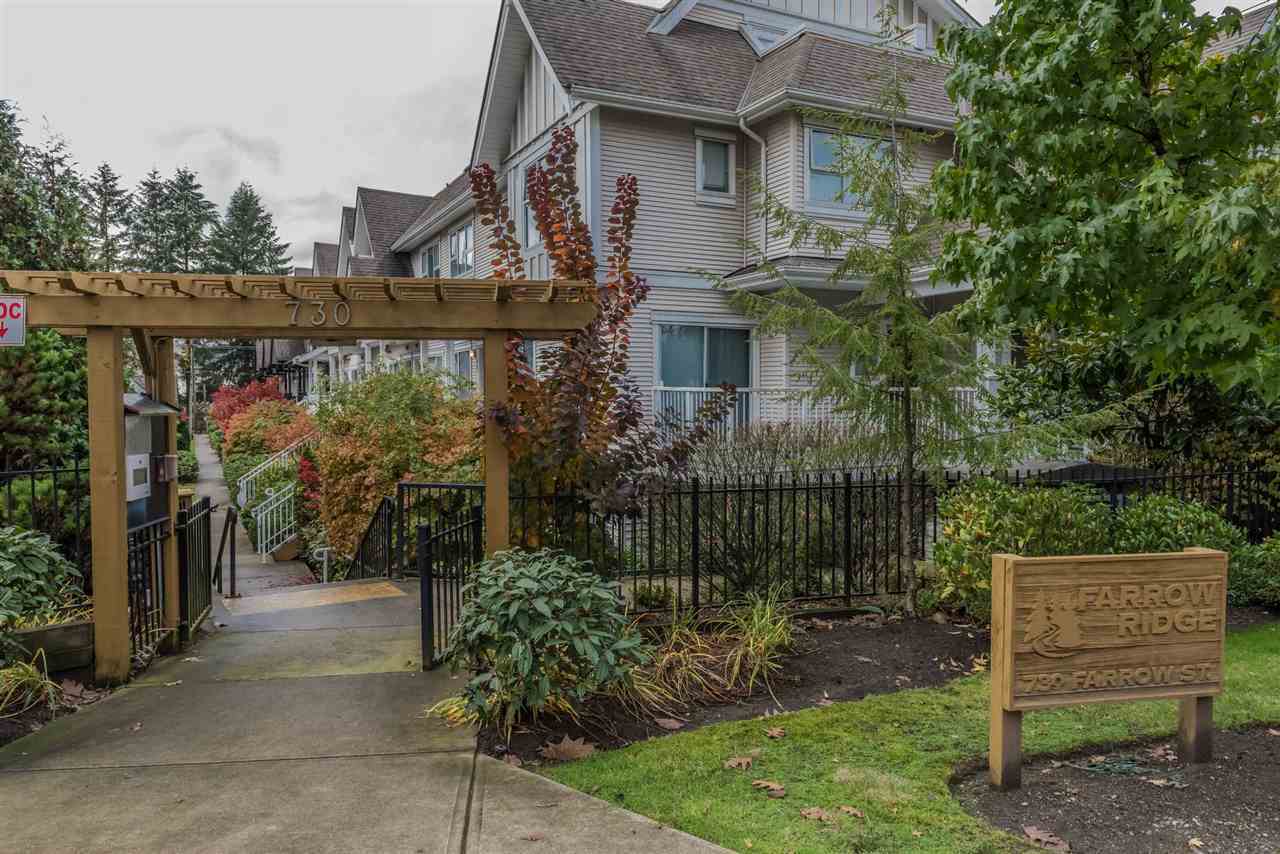 16.jpg at 11 - 730  Street, Coquitlam West, Coquitlam