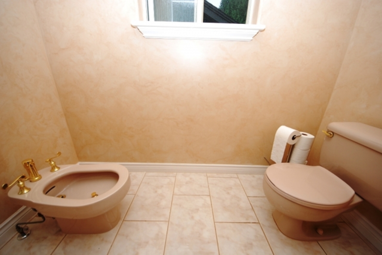 pmastertoilet.jpg at 430 Fairway St, Coquitlam West, Coquitlam