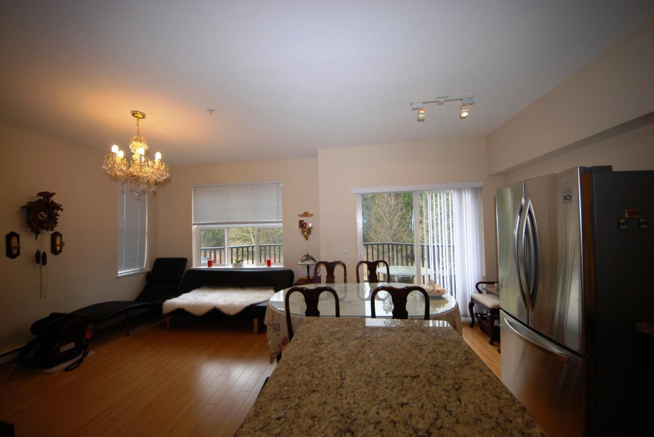 lf3 at 25 - 8089 209st, Langley