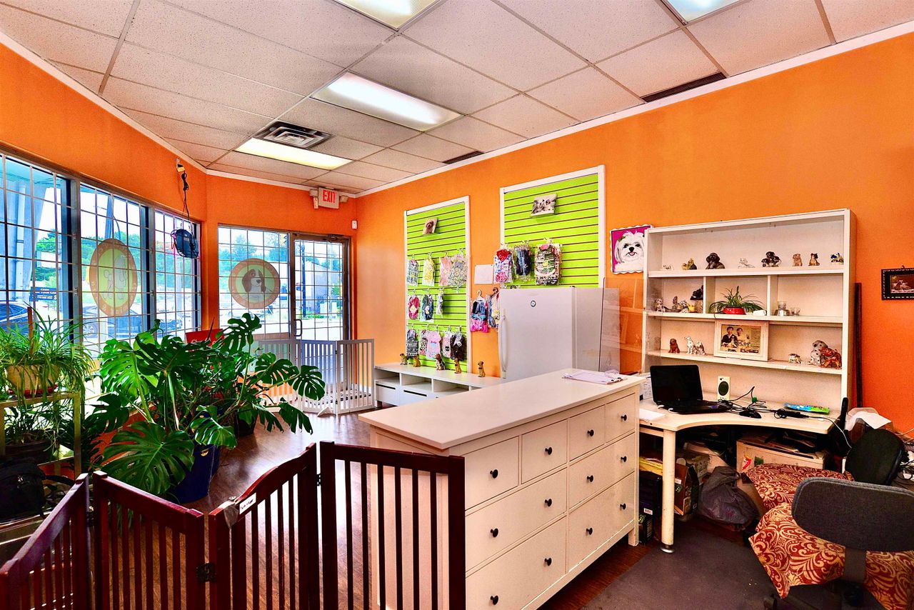 4563-north-road-cariboo-burnaby-north-07 at 4563 North Road, Cariboo, Burnaby North