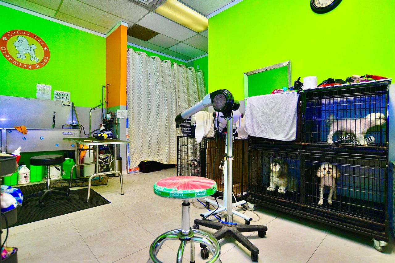 4563-north-road-cariboo-burnaby-north-10 at 4563 North Road, Cariboo, Burnaby North