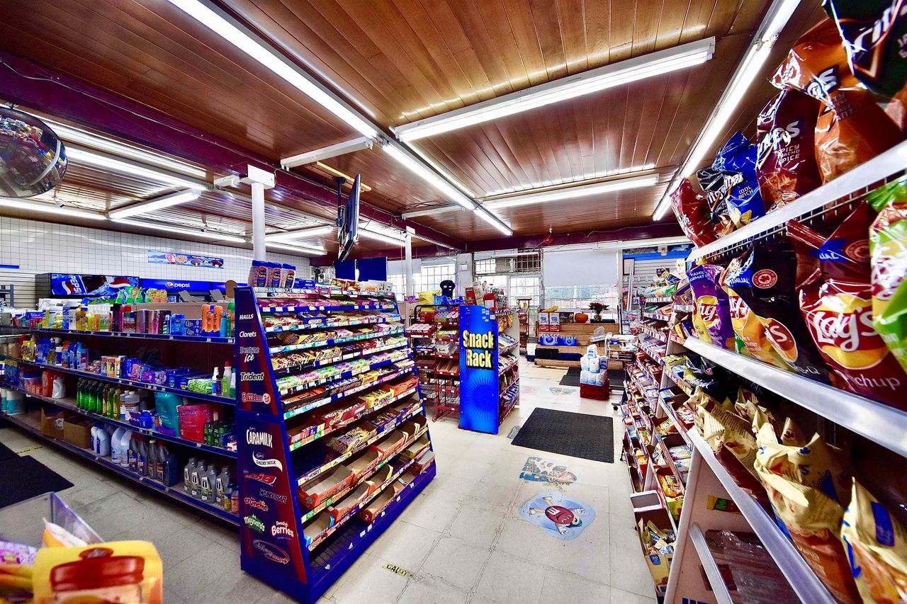 916-clarke-road-college-park-pm-port-moody-15 at 916 Clarke Road, College Park PM, Port Moody