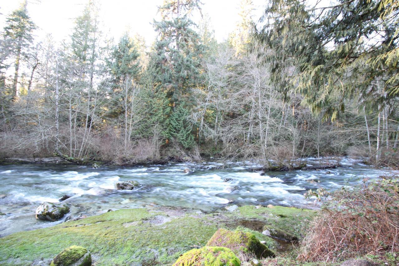 IMG_3924 at 12851  Road, Websters Corners, Maple Ridge