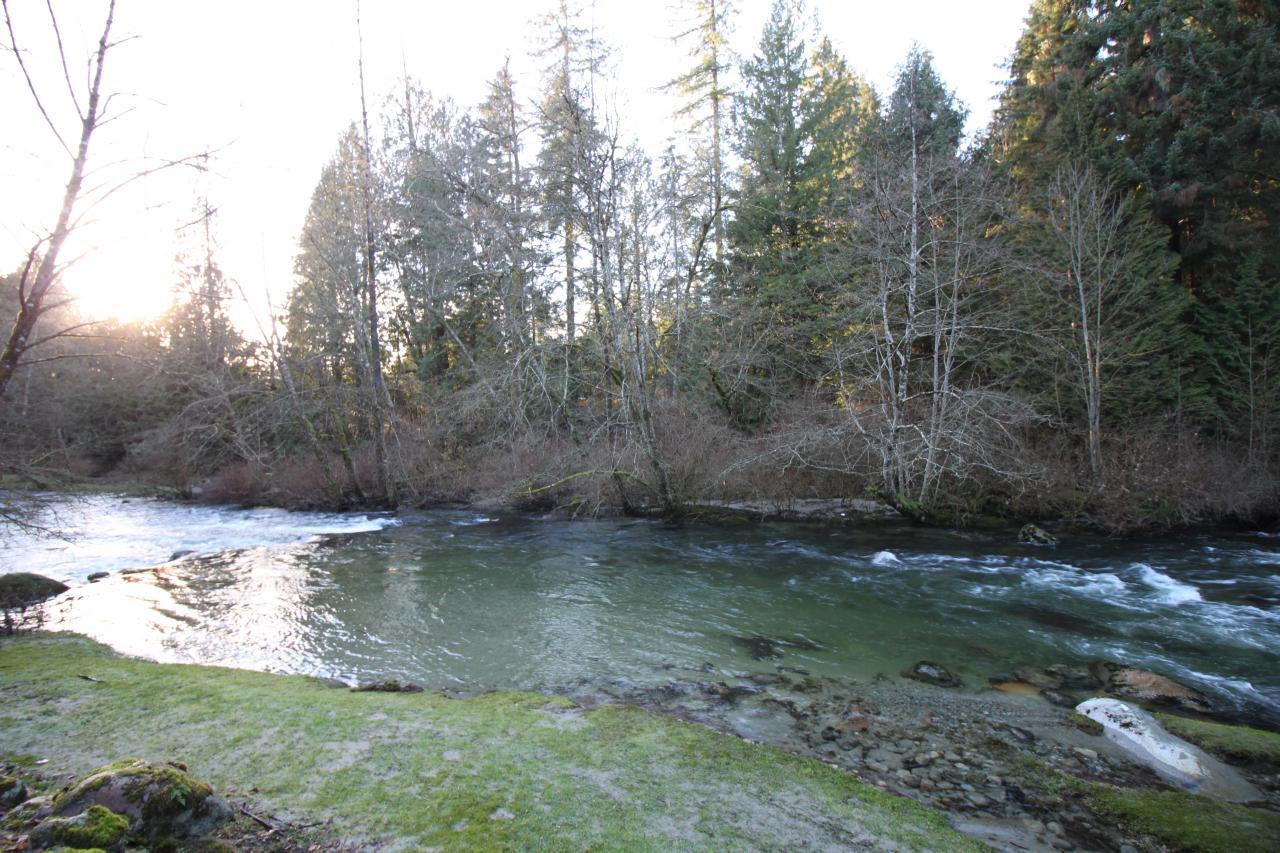 IMG_3925 at 12851  Road, Websters Corners, Maple Ridge