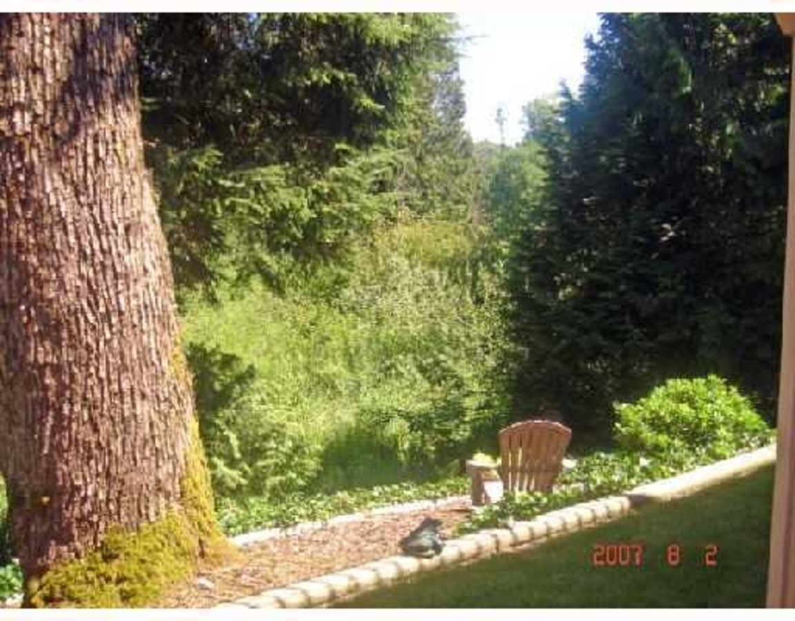 Backyard at 12446 205th st, Maple Ridge