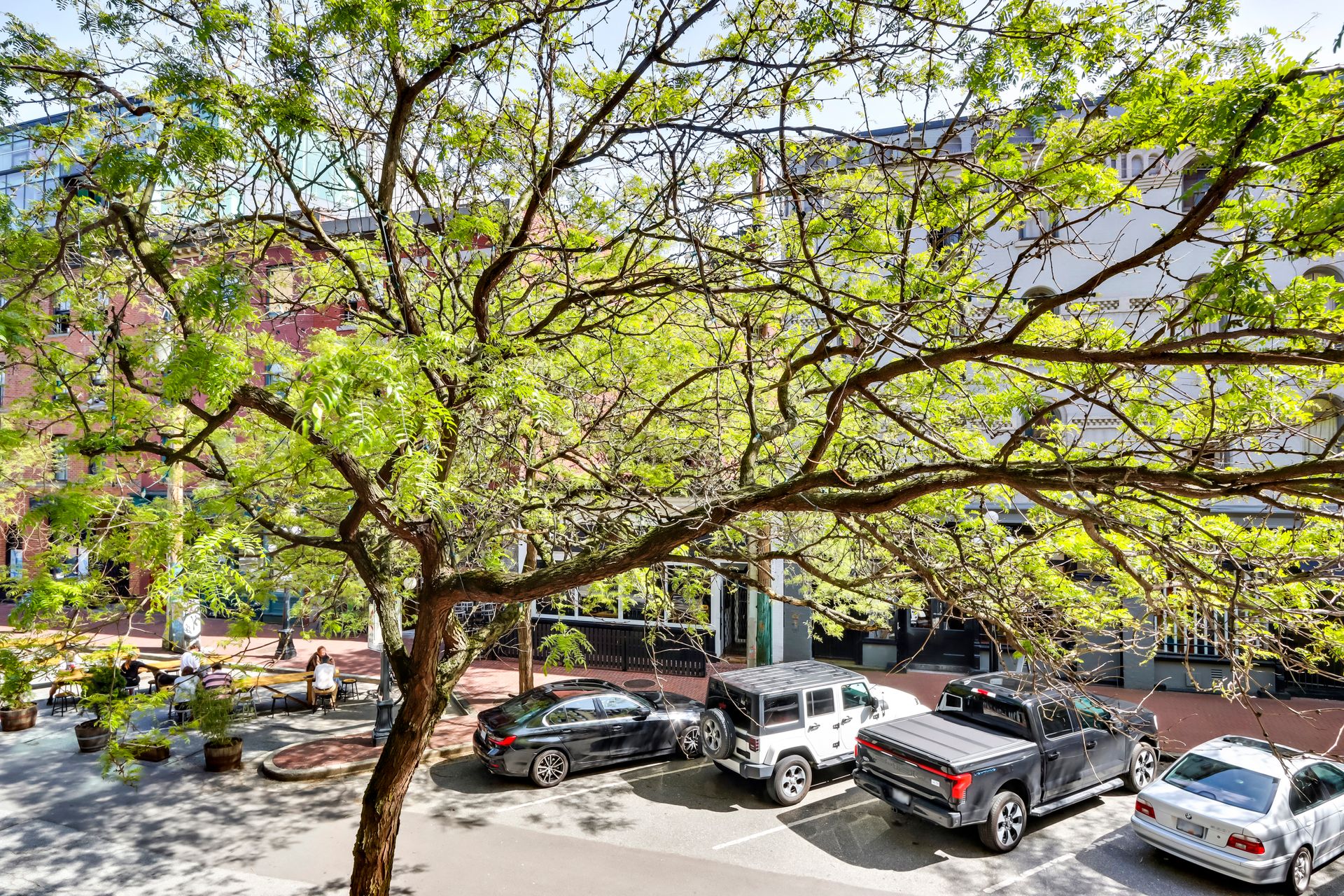 Tree Lined Cul-de-Sac Street at 201 - 55 Alexander Street, Downtown VE, Vancouver East Tree Lined Cul-de-Sac Street at 201 - 55 Alexander Street, Downtown VE, Vancouver East
