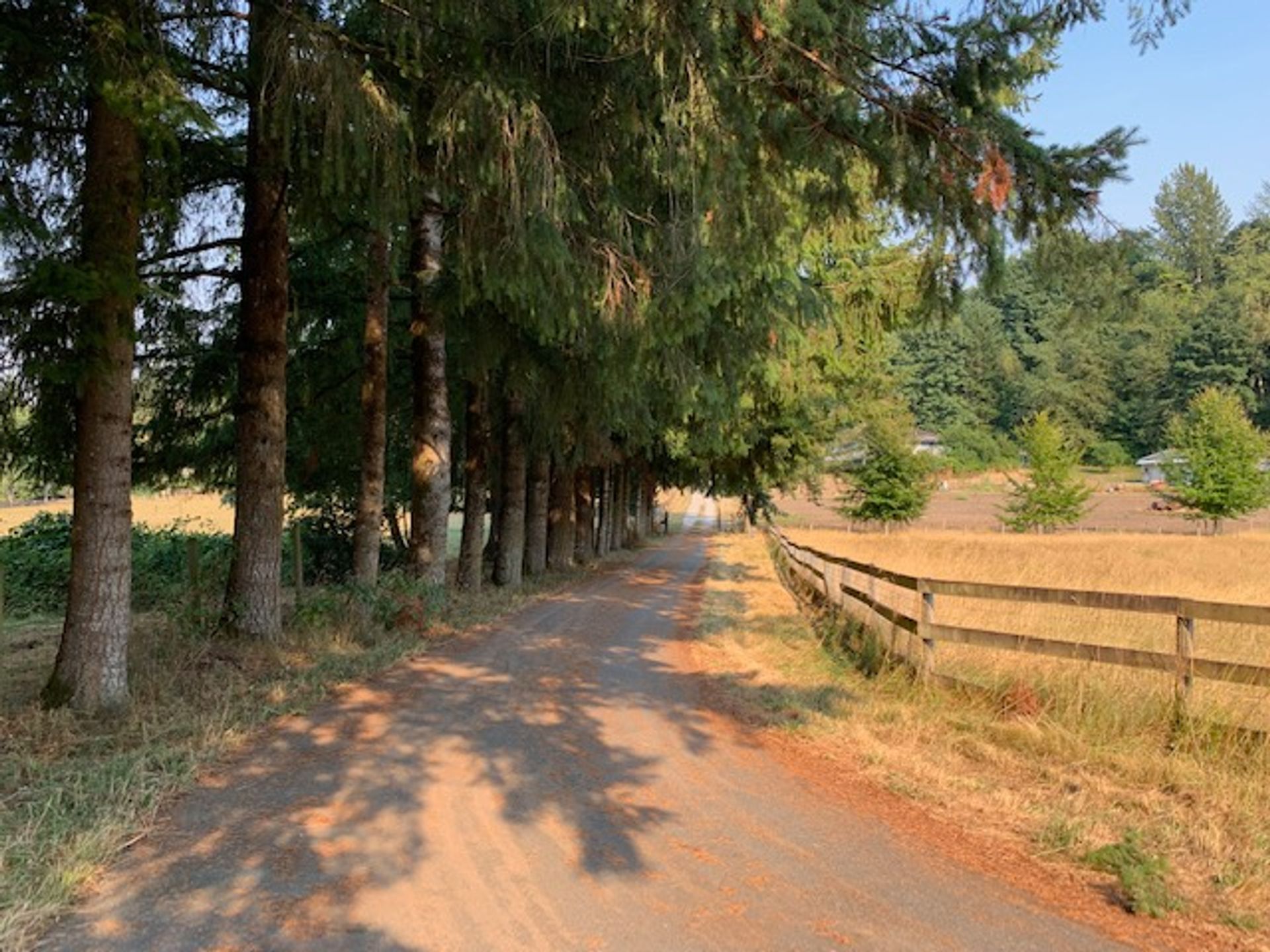 img_3929 at 8695 Armstrong Road, County Line Glen Valley, Langley img_3929 at 8695 Armstrong Road, County Line Glen Valley, Langley