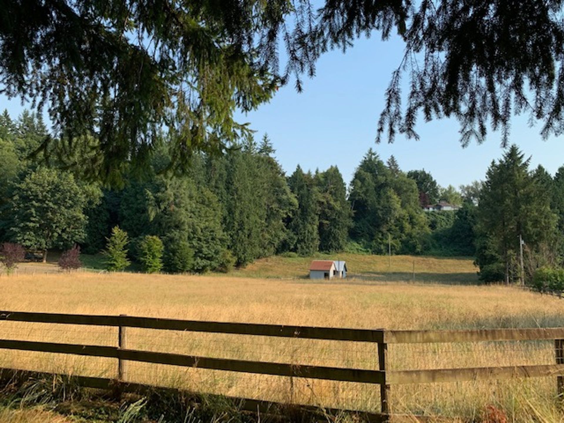 img_3932 at 8695 Armstrong Road, County Line Glen Valley, Langley img_3932 at 8695 Armstrong Road, County Line Glen Valley, Langley