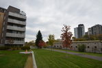 047 at #204 - 300  Street, Lebreton Flats, Ottawa