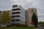 049 at #204 - 300  Street, Lebreton Flats, Ottawa