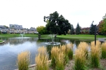 pond at 617 - 515 St Laurent, Viscount Alexander Park, Ottawa