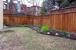 rear yard at 138 Ivy Crescent, New Edinburgh, Ottawa
