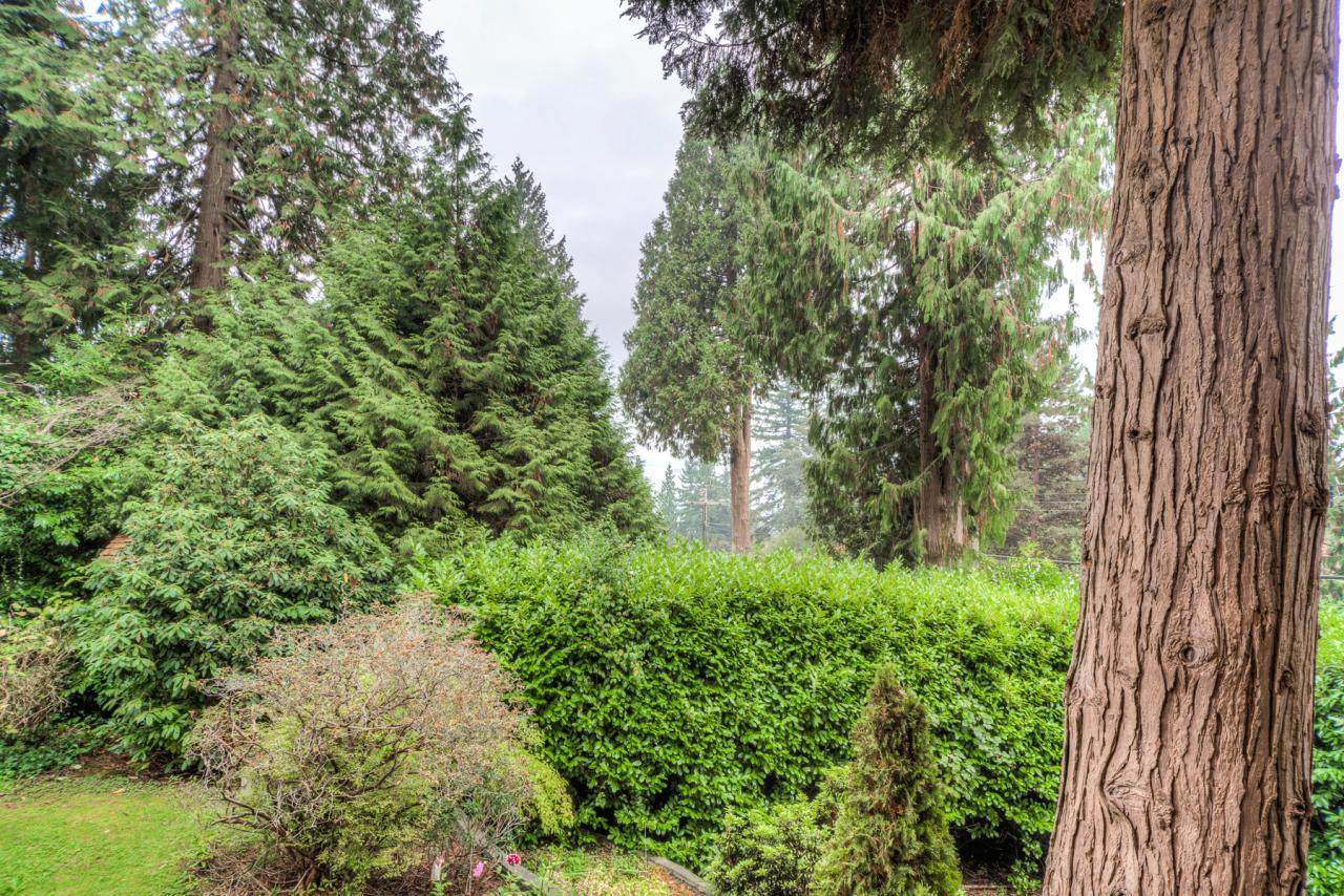 2696-Palmerston-Avenue-North-Vancouver-360hometours-27s at 2696 Palmerston Avenue, Dundarave, West Vancouver