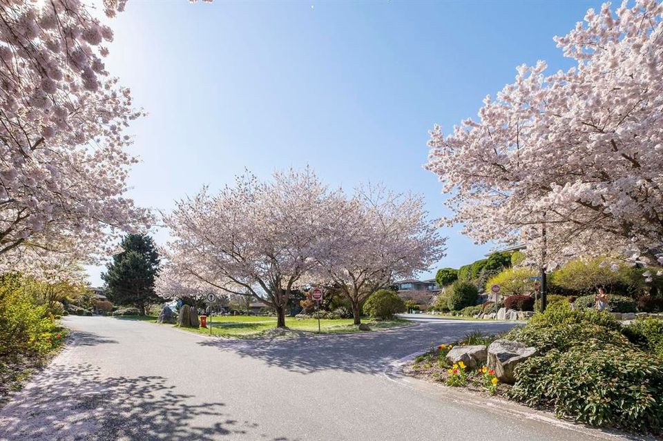 263105333-1b7fe047-f26c-4770-afb4-84504768205a at 4987 Meadfeild Wynd, Caulfeild, West Vancouver