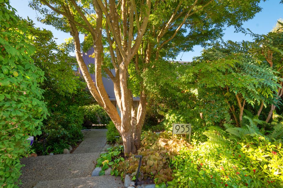 002 at 955 20th Street, Ambleside, West Vancouver