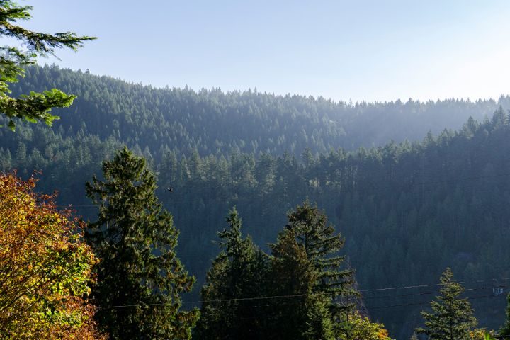 4991-1 at 6495 Wellington Avenue, Horseshoe Bay WV, West Vancouver