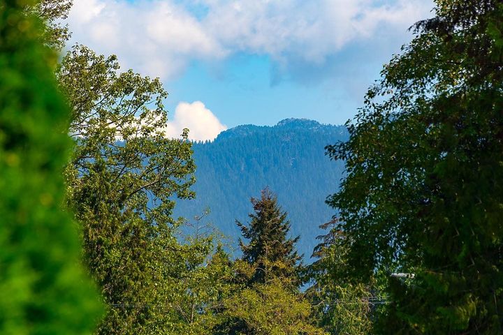 2009-boulevard-crescent-boulevard-north-vancouver-33 at 2009 Boulevard Crescent, Boulevard, North Vancouver