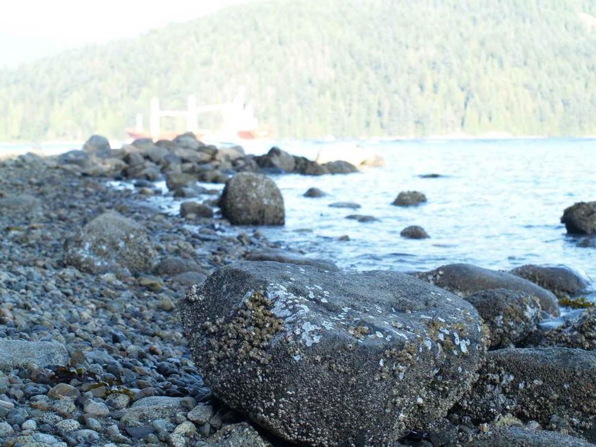 351-beachview-drive-dollarton-north-vancouver-13 at 351 Beachview Drive, Dollarton, North Vancouver 351-beachview-drive-dollarton-north-vancouver-13 at 351 Beachview Drive, Dollarton, North Vancouver