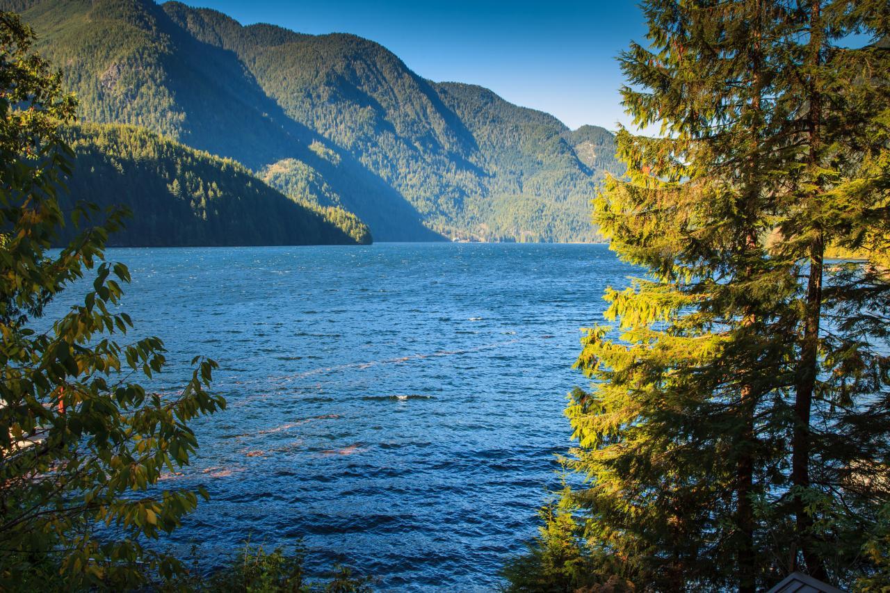 sutton_indian_river_retreat (7 of 25) at 9 E of Croker Island, Indian Arm, North Vancouver sutton_indian_river_retreat (7 of 25) at 9 E of Croker Island, Indian Arm, North Vancouver