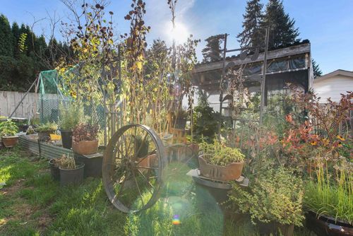 32420-14th-avenue-mission-bc-mission-29 at 32420 14th Avenue, Mission BC, Mission 32420-14th-avenue-mission-bc-mission-29 at 32420 14th Avenue, Mission BC, Mission