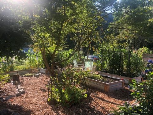 12025-hodgkins-road-lake-errock-mission-29 at 12025 Hodgkins Road, Lake Errock, Mission