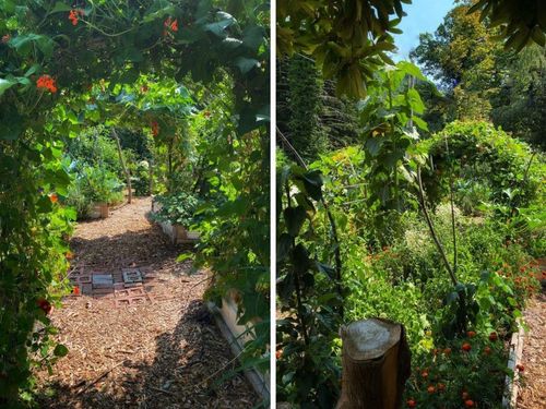 12025-hodgkins-road-lake-errock-mission-30 at 12025 Hodgkins Road, Lake Errock, Mission 12025-hodgkins-road-lake-errock-mission-30 at 12025 Hodgkins Road, Lake Errock, Mission