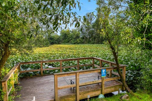 31450-spur-avenue-abbotsford-west-abbotsford-31 at 4 - 31450 Spur Avenue, Abbotsford West, Abbotsford 31450-spur-avenue-abbotsford-west-abbotsford-31 at 4 - 31450 Spur Avenue, Abbotsford West, Abbotsford